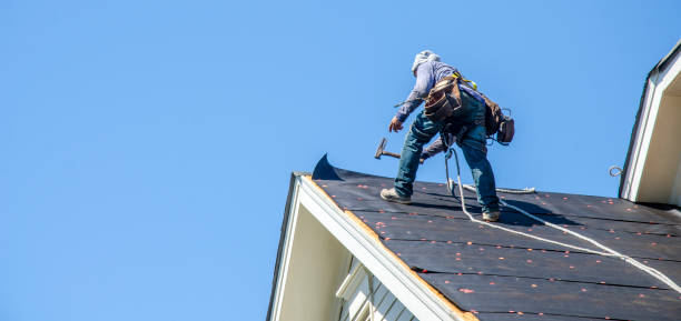 Best Roof Gutter Cleaning  in , ME